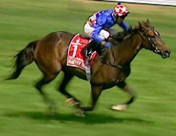 Makybe Diva wins the 2005 Melbourne Cup