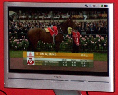 [Watching the Melbourne Cup on my new monitor]