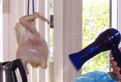 Drying a chicken, with a hairdryer