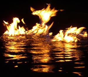 Phoenix-fire, photo by jurvetson